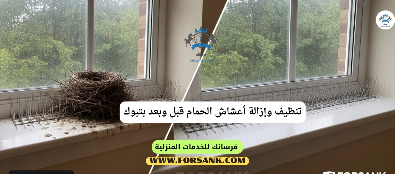 خدمة تنظيف وتعقيم مخلفات الحمام بتبوك - قبل وبعد صورة مقارنة توضح سطح متسخ بمخلفات وأعشاش الحمام قبل تدخل فرسانك، والجانب الآخر يظهر نفس السطح نظيفاً ومعقماً بالكامل بعد الخدمة في تبوك